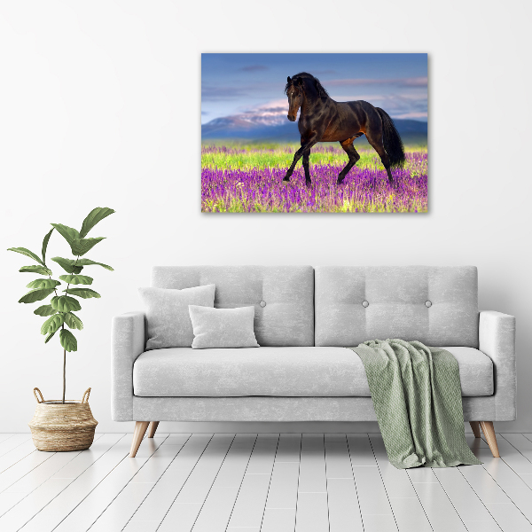Cuadro decorativo de vidrio para salón horizontal Un caballo en un campo de lavanda.