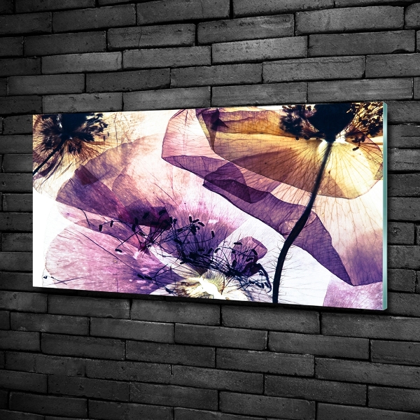 Impresión en cristal con acabado brillante horizontal Amapolas secas