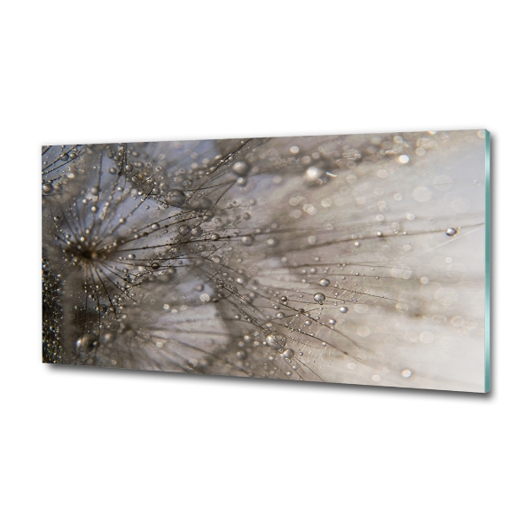 Foto en cristal de alta calidad con impresión uv horizontal semillas de diente de león