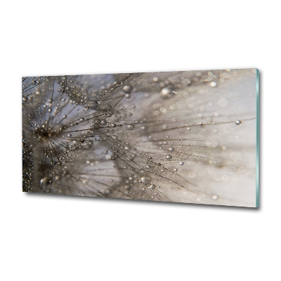 Foto en cristal de alta calidad con impresión uv horizontal semillas de diente de león