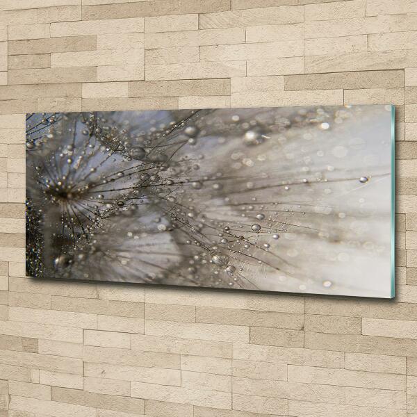 Foto en cristal de alta calidad con impresión uv horizontal semillas de diente de león