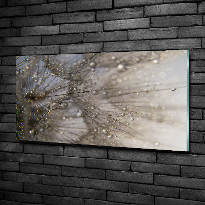 Foto en cristal de alta calidad con impresión uv horizontal semillas de diente de león