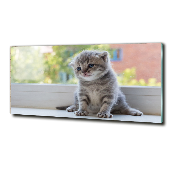 Cuadro decorativo de vidrio para salón horizontal Un pequeño gato junto a la ventana.
