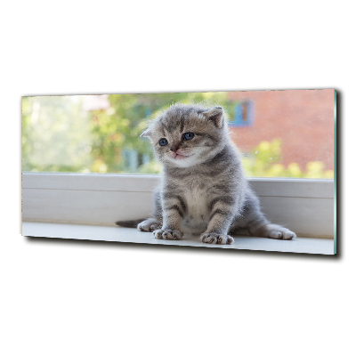 Cuadro decorativo de vidrio para salón horizontal Un pequeño gato junto a la ventana.