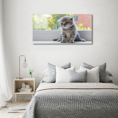 Cuadro decorativo de vidrio para salón horizontal Un pequeño gato junto a la ventana.