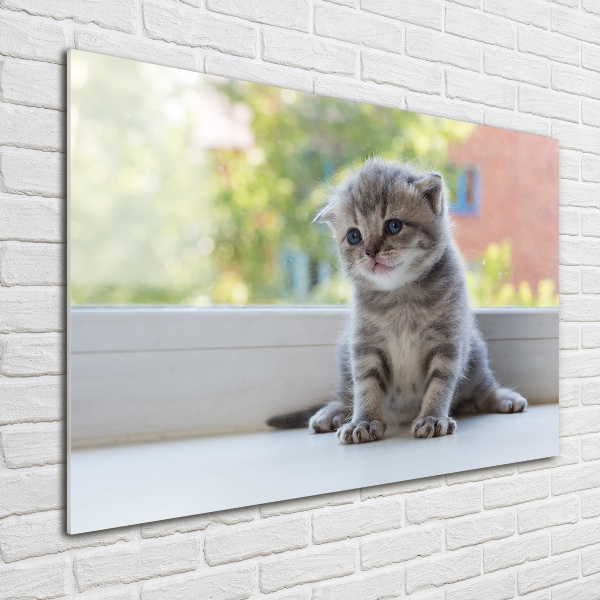 Cuadro decorativo de vidrio para salón horizontal Un pequeño gato junto a la ventana.