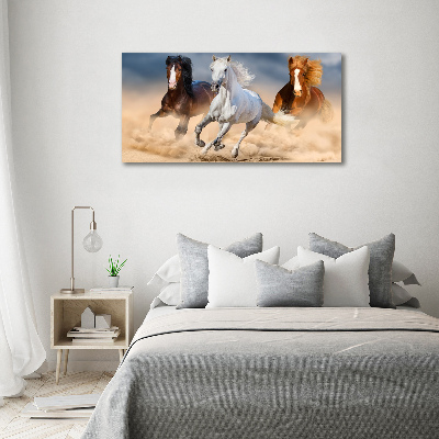 Foto en cristal de alta calidad con impresión uv horizontal Caballos en el desierto