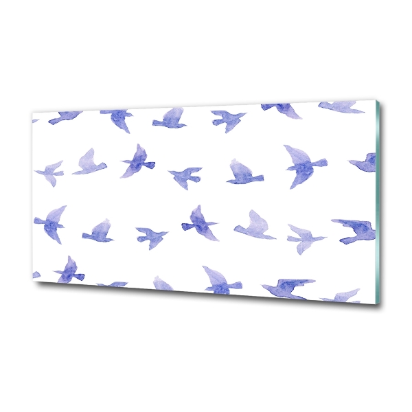 Impresión en cristal con acabado brillante horizontal Golondrinas