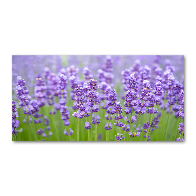 Cuadro de cristal templado moderno horizontal Lavanda