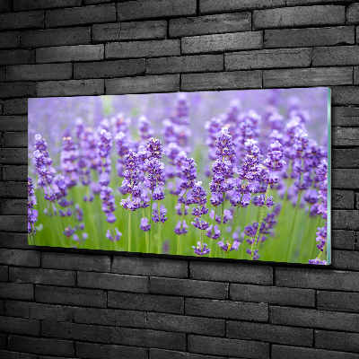 Cuadro de cristal templado moderno horizontal Lavanda