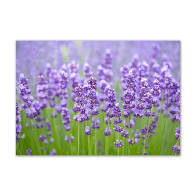 Cuadro de cristal templado moderno horizontal Lavanda
