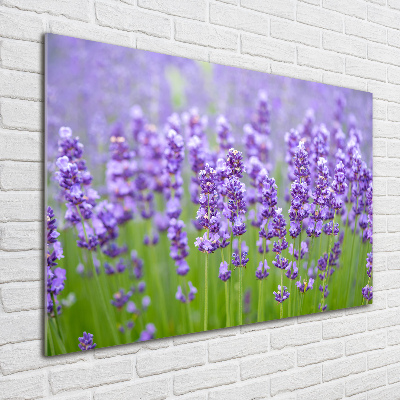 Cuadro de cristal templado moderno horizontal Lavanda