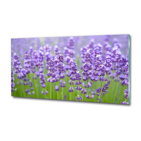 Cuadro de cristal templado moderno horizontal Lavanda