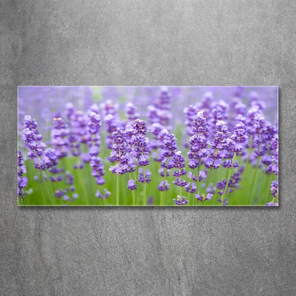 Cuadro de cristal templado moderno horizontal Lavanda
