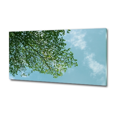 Cuadro de cristal templado moderno horizontal Hojas en el cielo