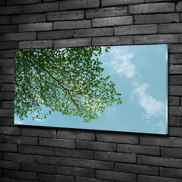 Cuadro de cristal templado moderno horizontal Hojas en el cielo