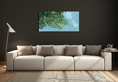 Cuadro de cristal templado moderno horizontal Hojas en el cielo