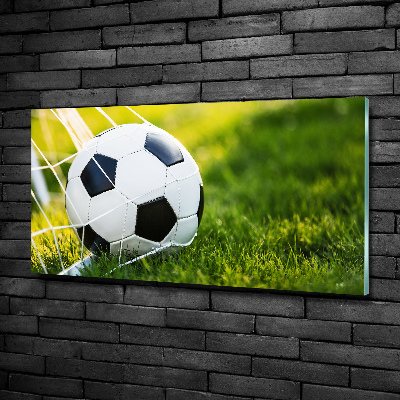 Foto obraz szkło hartowane Piłka w bramce