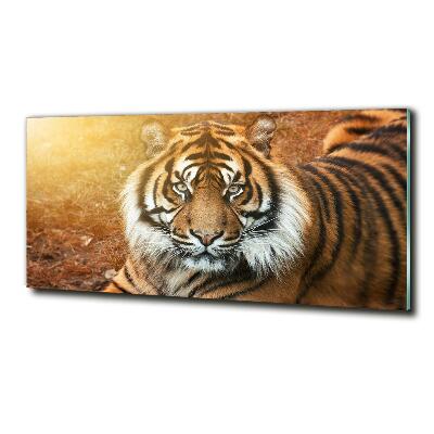 Cuadro decorativo de vidrio para salón horizontal tigre de Bengala