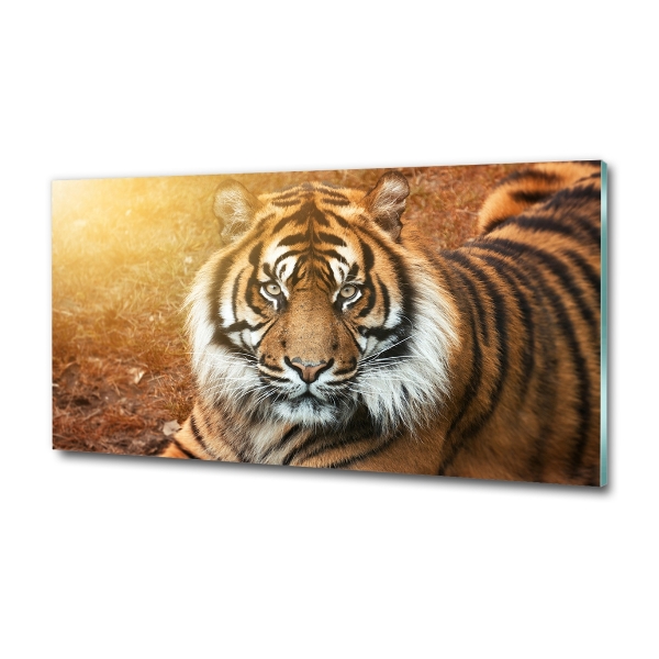 Cuadro decorativo de vidrio para salón horizontal tigre de Bengala