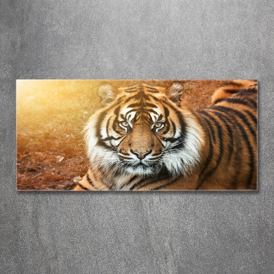 Cuadro decorativo de vidrio para salón horizontal tigre de Bengala