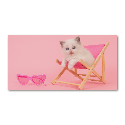 Foto-obraz szkło hartowane Kot na leżaku