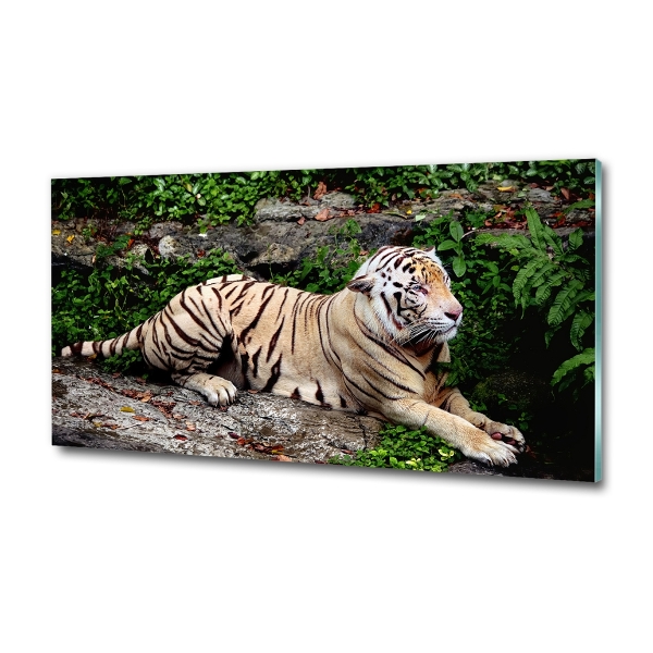 Cuadro decorativo de vidrio para salón horizontal Tigre en una roca