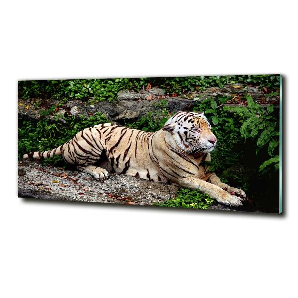 Cuadro decorativo de vidrio para salón horizontal Tigre en una roca