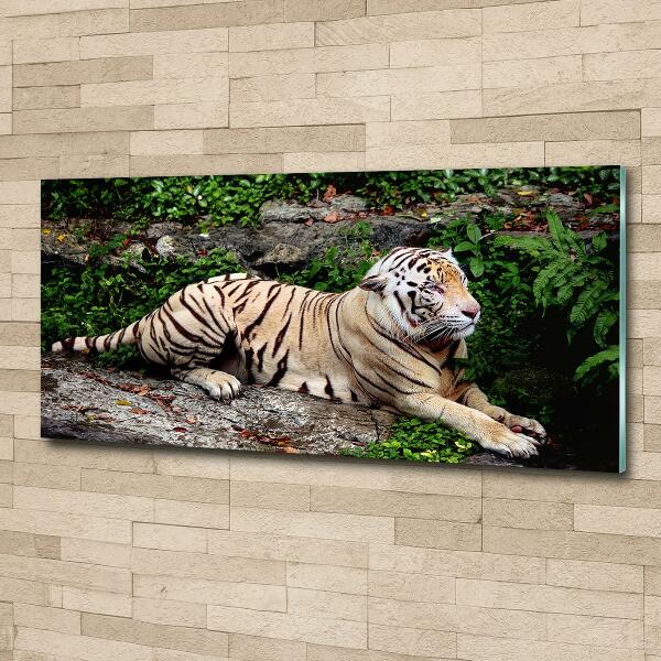 Cuadro decorativo de vidrio para salón horizontal Tigre en una roca