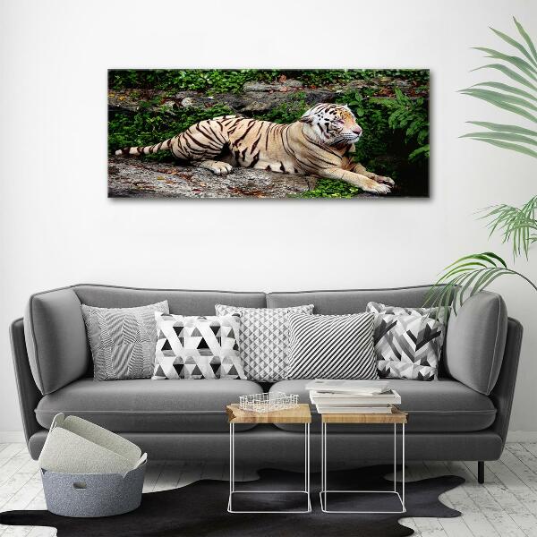 Cuadro decorativo de vidrio para salón horizontal Tigre en una roca
