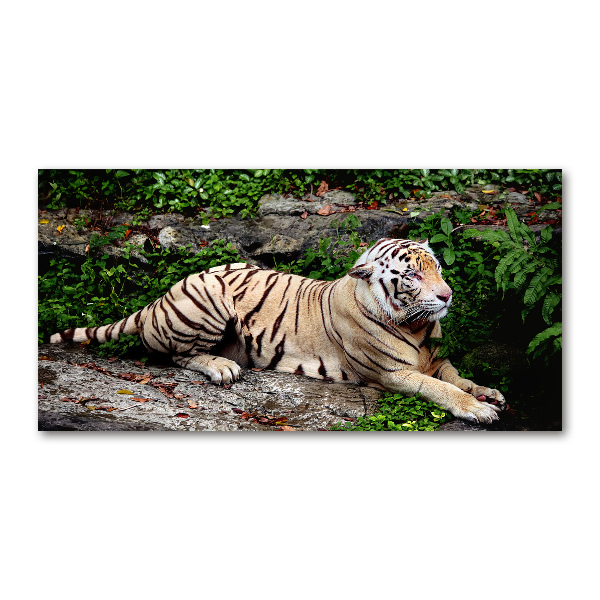 Cuadro decorativo de vidrio para salón horizontal Tigre en una roca