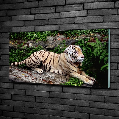 Cuadro decorativo de vidrio para salón horizontal Tigre en una roca
