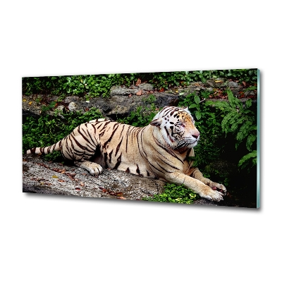 Cuadro decorativo de vidrio para salón horizontal Tigre en una roca