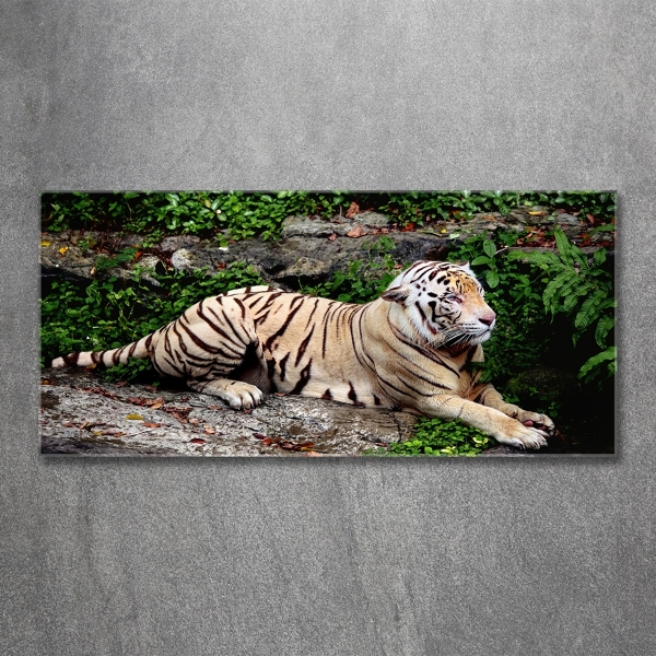 Cuadro decorativo de vidrio para salón horizontal Tigre en una roca