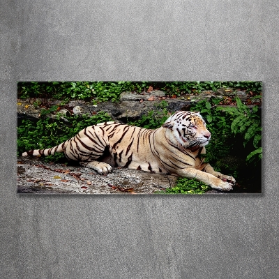 Cuadro decorativo de vidrio para salón horizontal Tigre en una roca