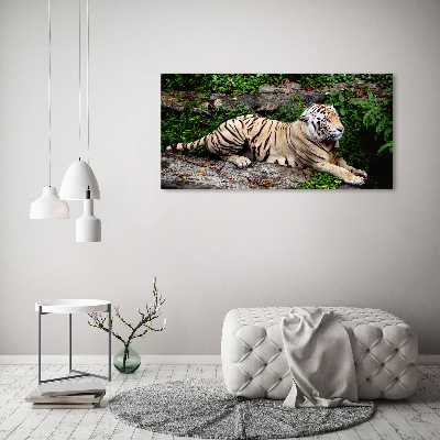 Cuadro decorativo de vidrio para salón horizontal Tigre en una roca