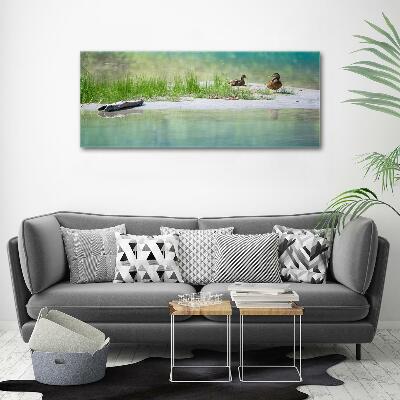 Cuadro de cristal templado moderno horizontal Patos junto al agua