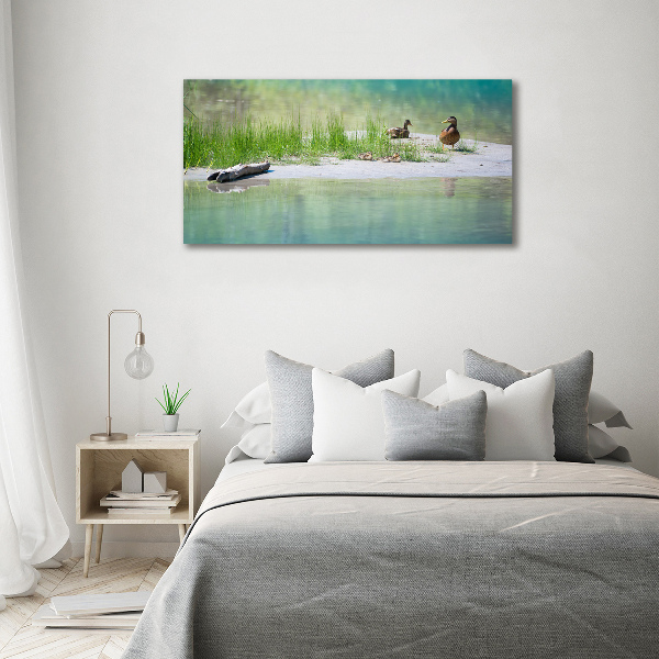 Cuadro de cristal templado moderno horizontal Patos junto al agua