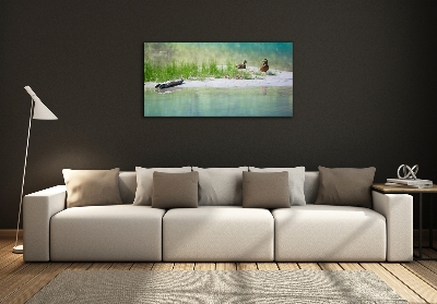 Cuadro de cristal templado moderno horizontal Patos junto al agua