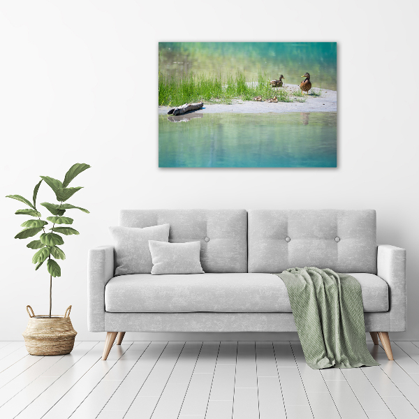 Cuadro de cristal templado moderno horizontal Patos junto al agua