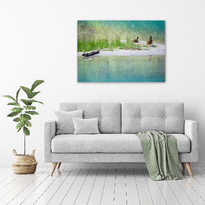 Cuadro de cristal templado moderno horizontal Patos junto al agua