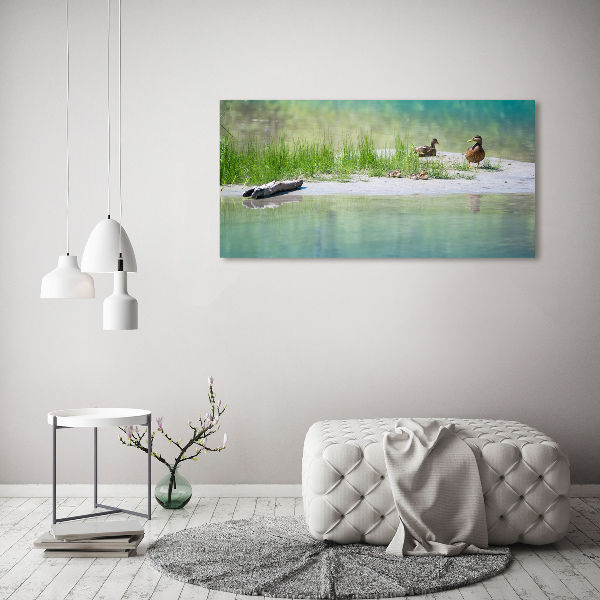 Cuadro de cristal templado moderno horizontal Patos junto al agua