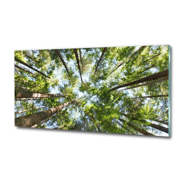 Foto en cristal de alta calidad con impresión uv horizontal Corona del árbol