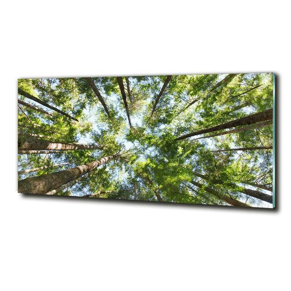 Foto en cristal de alta calidad con impresión uv horizontal Corona del árbol