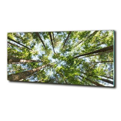 Foto en cristal de alta calidad con impresión uv horizontal Corona del árbol