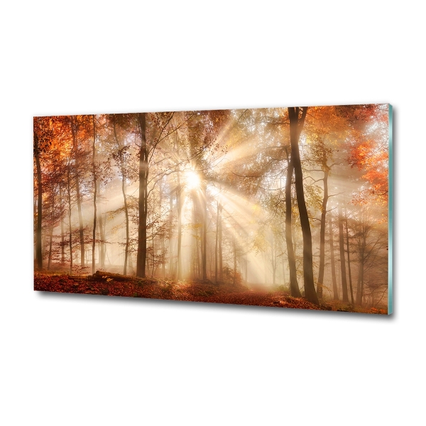 Cuadro decorativo de vidrio para salón horizontal Niebla en el bosque otoñal