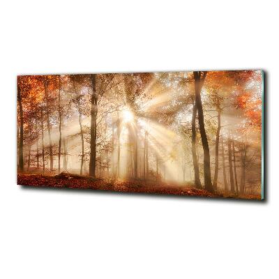 Cuadro decorativo de vidrio para salón horizontal Niebla en el bosque otoñal