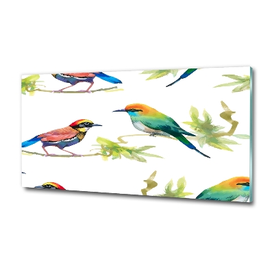 Foto en cristal de alta calidad con impresión uv horizontal Aves exóticas