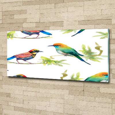 Foto en cristal de alta calidad con impresión uv horizontal Aves exóticas