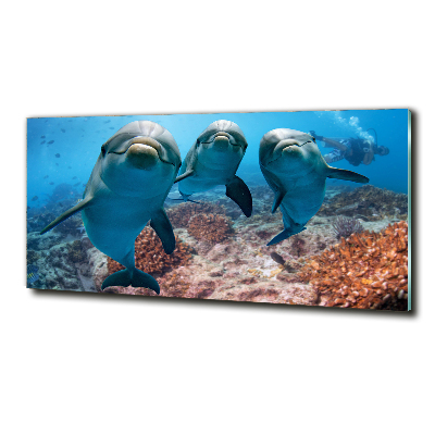 Foto en cristal de alta calidad con impresión uv horizontal Delfines